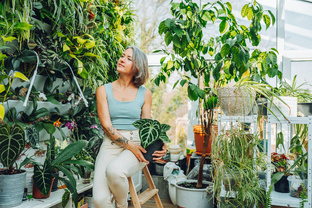 Комнатные растения: уход, советы, вдохновение🌱