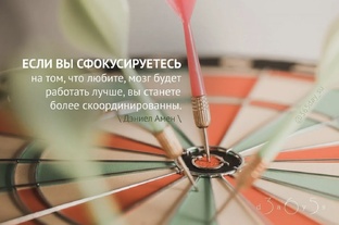 Фокус внимания🎯
