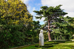 Крым. Никитский ботанический сад.