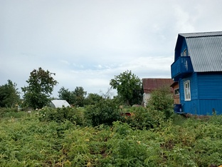 Отдых на даче.