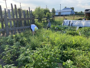 Сад и огород