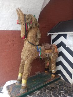 Животные 