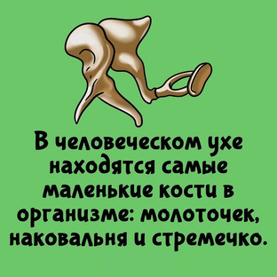 Экватор недели 