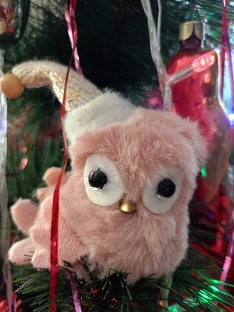 Природа полна чудес