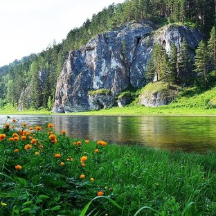 Природа России 