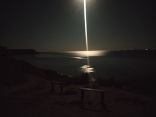 Ведьмина земля