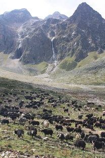 Возвращение в Балкарию 