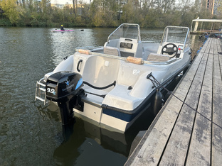 Обзор электробестера