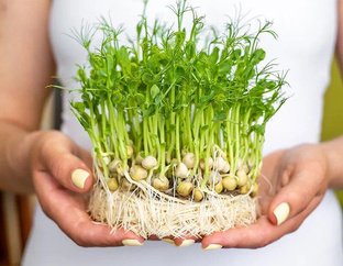 Польза продуктов