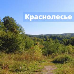 Краснолесье