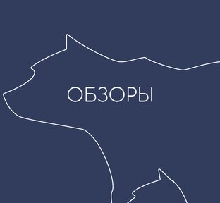 Обзоры. 