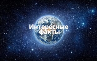 Топ Факты