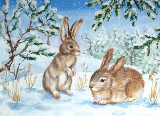 Пичкова Елена, 12 лет 