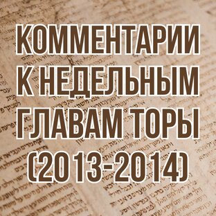Тора (2013-2014, комментарии)
