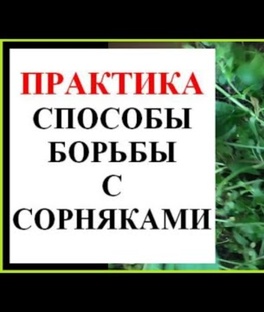 Практика и способы борьбы с сорняками 