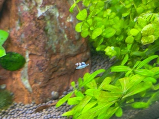 Детский аквариум