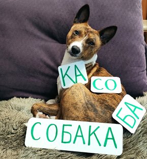 Слоговая структура слова. Профилактика заикания.