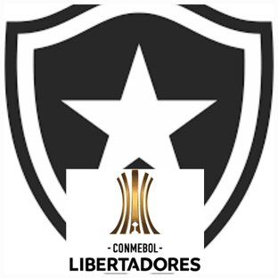 2024 BOTAFOGO EN LA LIBERTADORES 2024