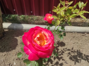 музыкальная пауза 