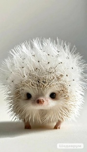 Нейропсихология -помогатель для детей номер 1