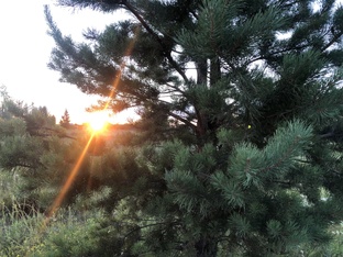 Жизненное пространство - пространство ЛЮБВИ