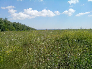 Дачные дела