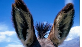 О гениальных придумках Эйнштейна.