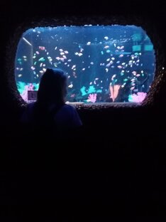 Водный мир загадочен!