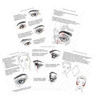 Чтение лица 