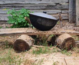 Готовим на костре