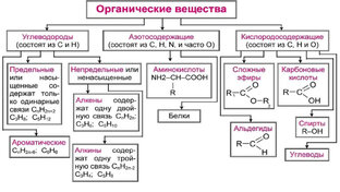 Органическая химия