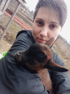 Козы🐐