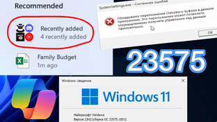 Windows 11 Insider Preview (Dev)