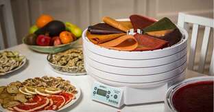 Рецепты для дегидратора