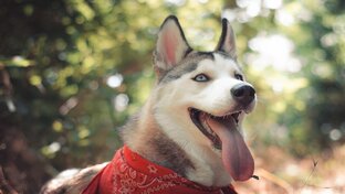 Любимые фильмы ужасов