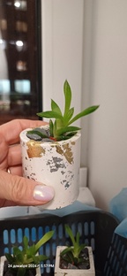 делоручка или рукоделка