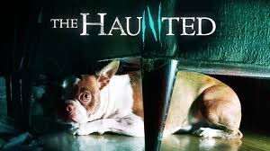 THE HAUNTED SAISON 1