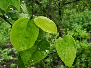 📷 Вид из моего окна