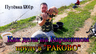 Карасяндры