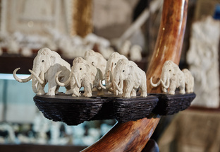 Экспедиция. Фактория