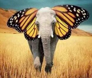 Они удивительны и прекрасны