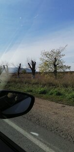 Покупка участка в Крыму!