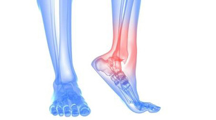 ГОЛЕНОСТОПНЫЙ СУСТАВ