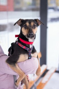 В ожидании счастья