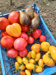 АВГУСТ 2025 ГОДА.