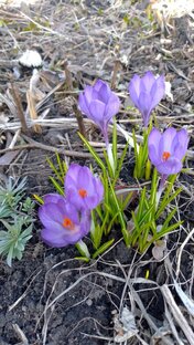 "Уральская природа:неожиданная и прекрасная" 