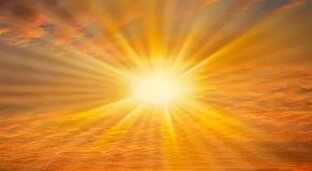 Смысл жизни как борьба за место под солнцем.