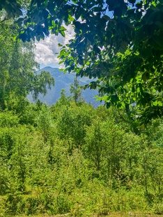 Зря хвалят других людей.