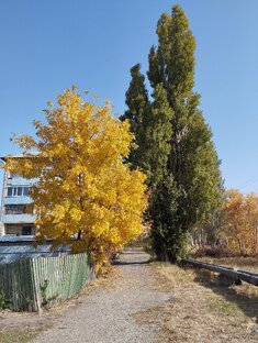 Краски осени