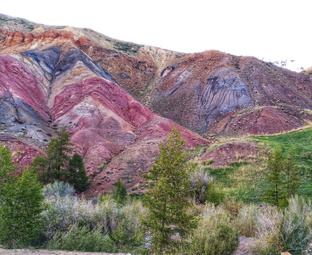 АЛТАЙ и Алтайский край 